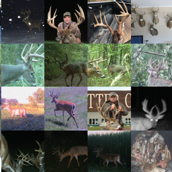 Land for Sale LandCo Farmland for Sale 2019-07-16 at 8.04.55 PM