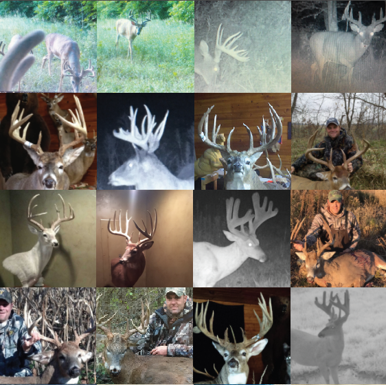 Land for Sale LandCo Farmland for Sale 2019-07-16 at 7.55.43 PM