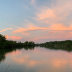 Land for Sale LandCo Farmland for Sale 2019-08-07 at 9.25.21 AM