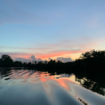 Land for Sale LandCo Farmland for Sale 2019-08-07 at 9.25.27 AM