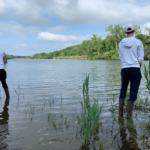 Land for Sale LandCo Farmland for Sale 2019-08-07 at 9.28.04 AM