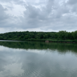 Land for Sale LandCo Farmland for Sale 2019-08-07 at 9.28.30 AM