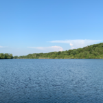 Land for Sale LandCo Farmland for Sale 2019-08-07 at 9.28.53 AM