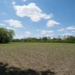 Land-for-Sale-in-Illinois-Matt-Lynch-1024×576
