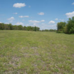 Land-for-Sale-in-Illinois-Matt-Lynch-15-1024×576