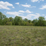 Land-for-Sale-in-Illinois-Matt-Lynch-14-1024×576