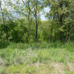 Land-for-Sale-in-Illinois-Matt-Lynch-12-1024×576