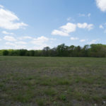 Land-for-Sale-in-Illinois-Matt-Lynch-8-1024×576