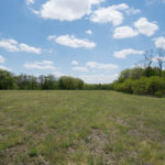 Land-for-Sale-in-Illinois-Matt-Lynch-6-1024×576