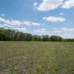 Land-for-Sale-in-Illinois-Matt-Lynch-5-1024×576