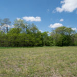 Land-for-Sale-in-Illinois-Matt-Lynch-4-1024×576