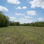 Land-for-Sale-in-Illinois-Matt-Lynch-2-1024×576