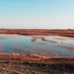 Land for Sale LandCo Farmland for Sale 2019-11-26 at 1.55.58 PM