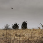 landco-land-for-sale-11jpg_32613146294_o