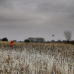 landco-land-for-sale-16jpg_33456060235_o