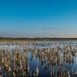 landco-land-for-sale-22jpg_32642008393_o