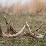 landco-land-for-sale-38jpg_32846427864_o
