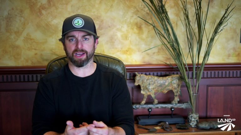 Year-Round Whitetail Hunter | Introduction to the Series