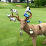 Land for Sale LandCo Farmland for Sale 2020-04-08 at 11.46.29 AM