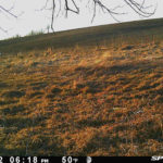 Land-for-Sale-LandCo-Farmland-for-Sale-2022-05-18-at-8.09.45-AM-1