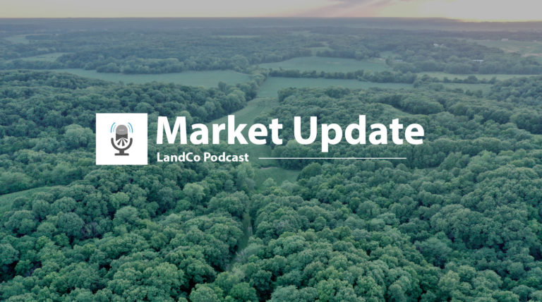 Market Update | July 2022