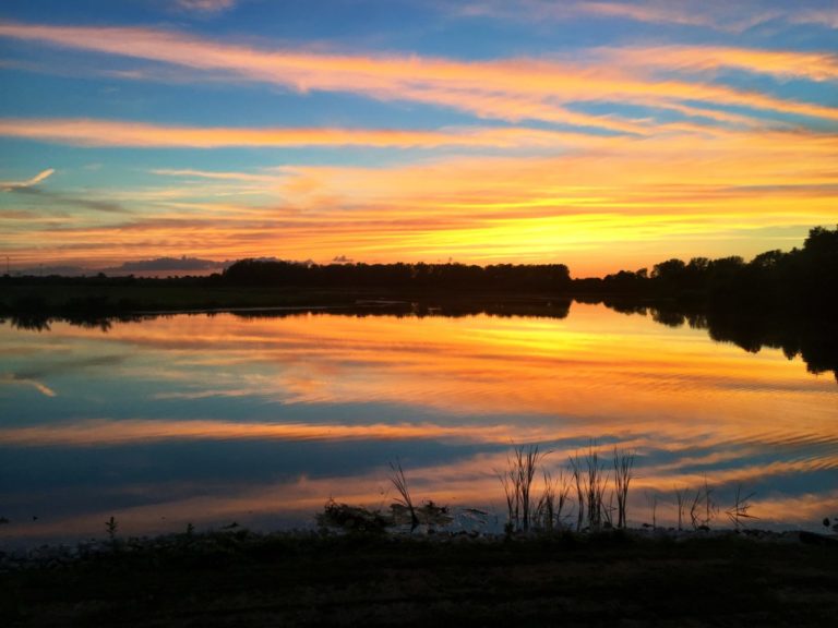 Property Development | Peach Mines