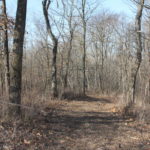 img_2177_6725626261_o