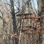 img_2184_6725648589_o