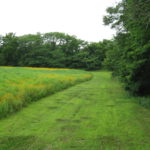 img_0569_6427862283_o