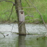 img_0567_6427878877_o