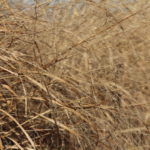 img_2163_6725595411_o