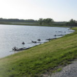 img_1631_6439070845_o