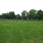 img_0573_6427863747_o-3