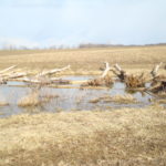 otter-creek-lake-structure-024_6038771686_o