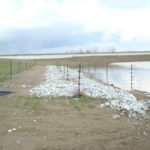 dsc00106_6038763140_o