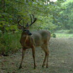 img_0092_2_6173348942_o