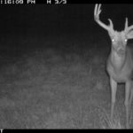 img_0138_6173347782_o