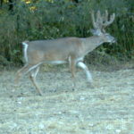 img_0589_2_6173348262_o