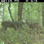 img_0444_6173350490_o