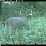 img_0142_6173350378_o