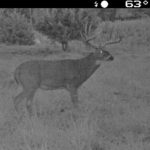 img_0047_6172823327_o