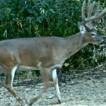 img_0590_6173349660_o