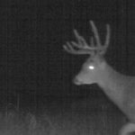 img_0016_2_6173350210_o