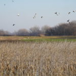 dsc01074_33473091975_o