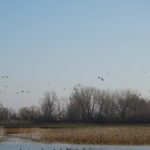 dsc01055_32629672594_o