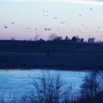 dsc01015_33344705691_o