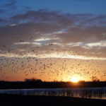 dsc01000_33344702341_o