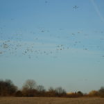 dsc00822_32629739224_o