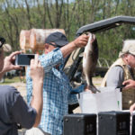 landco-land-for-sale-8jpg_34611112006_o