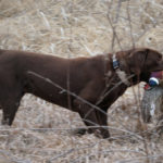 landco-land-for-sale-13jpg_33328197011_o